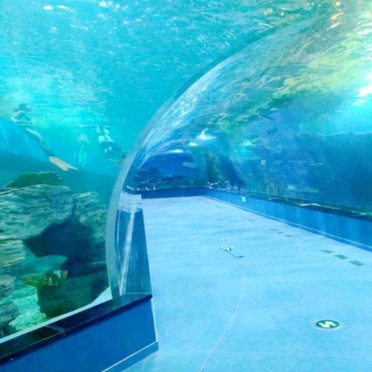 Zhejiang Acrylic Manufacturer Transparent Curve Acrylic Panels for Undersea Restaurant Public Aquarium