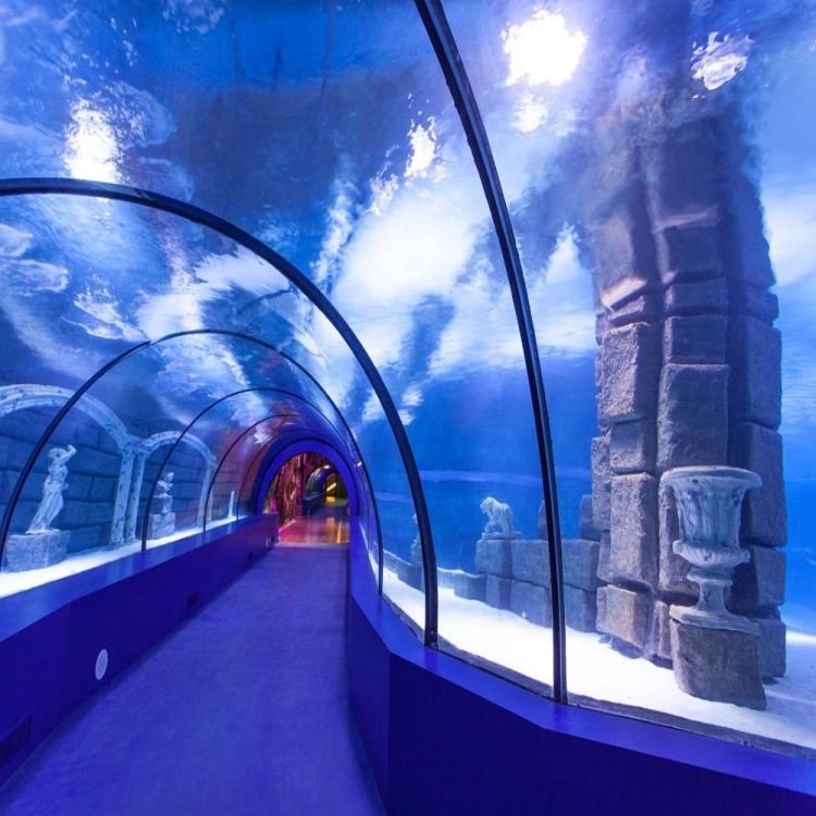 Zhejiang Acrylic Manufacturer Transparent Curve Acrylic Panels for Undersea Restaurant Public Aquarium