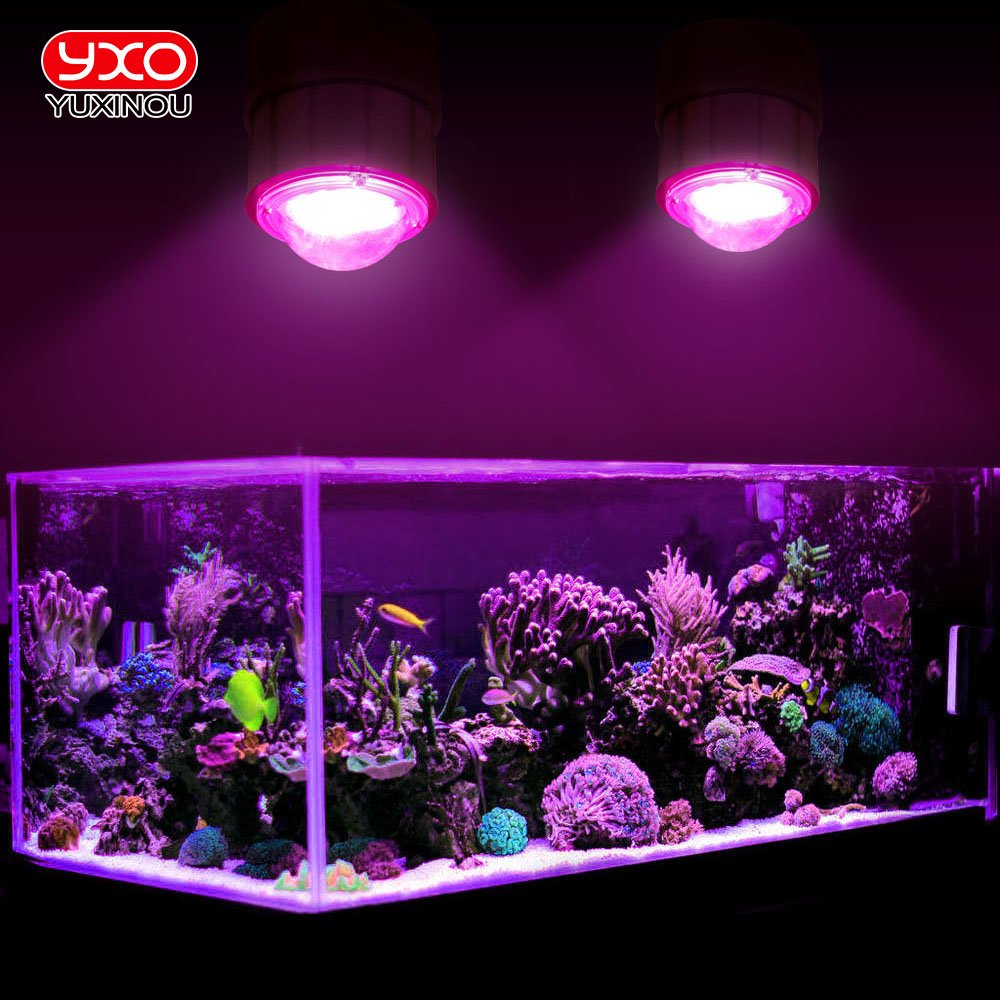 Market Wholesale Full Spectrum Reef LED Aquarium Lights LED Saltwater aquarium lights for live plant tank