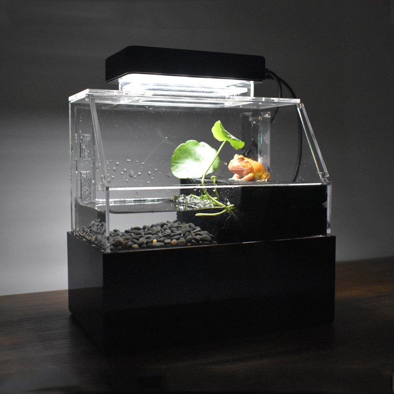 Relaxlines Custom Desktop Aquarium Mini Luxury Decorative Indoor Water Custom Mini Colorful Fish Tank For Sale