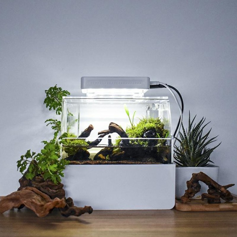 Relaxlines Custom Desktop Aquarium Mini Luxury Decorative Indoor Water Custom Mini Colorful Fish Tank For Sale