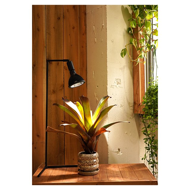 Top Recommendation Lowest Cost Adjusted Angle Led Lamp Base Akond Extremely Thin Frame Heavy Light Stand