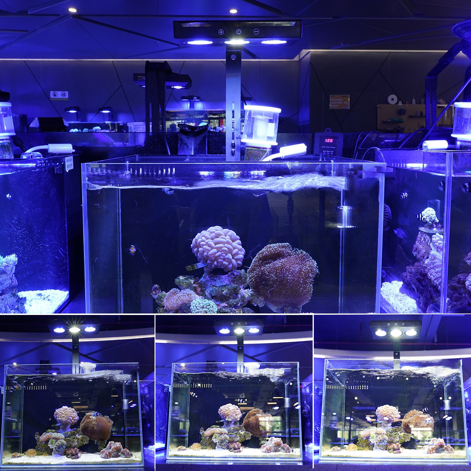 Saltwater Nano Reef led light wholesale A030 30W suitable for 19.7inch fish tank