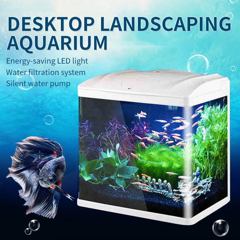 Aquarium MINI Glass fish tank with LED light water pump and filter for home and office