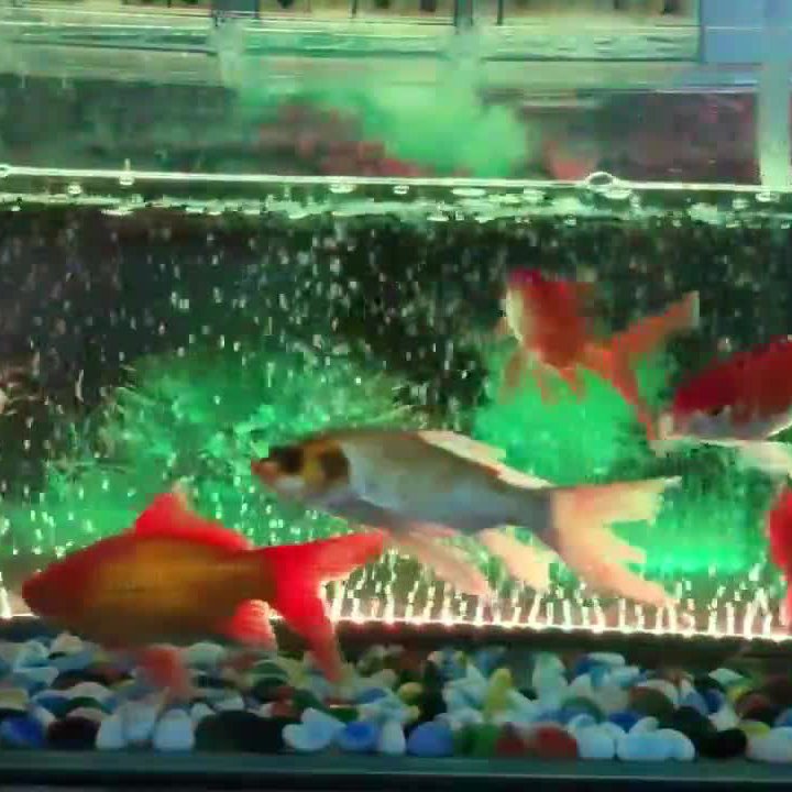 Factory RGB Remote Control Underwater High Bright Colorful LED Aquarium Light