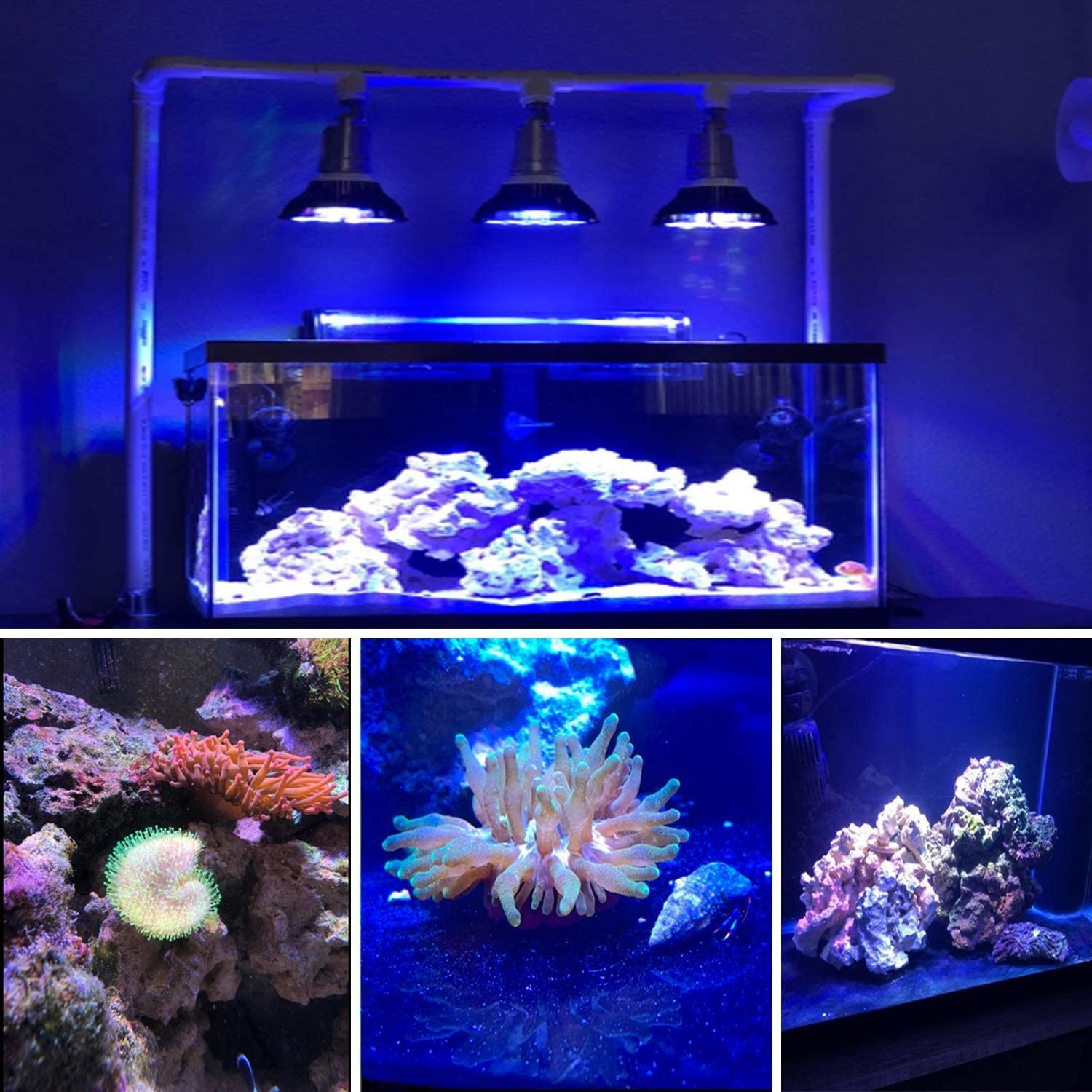 Full Spectrum E27 E26 LED Aquarium Light Bulb 18W Fish Tank Bulb for Coral Reef Saltwater Tank Plants Growth