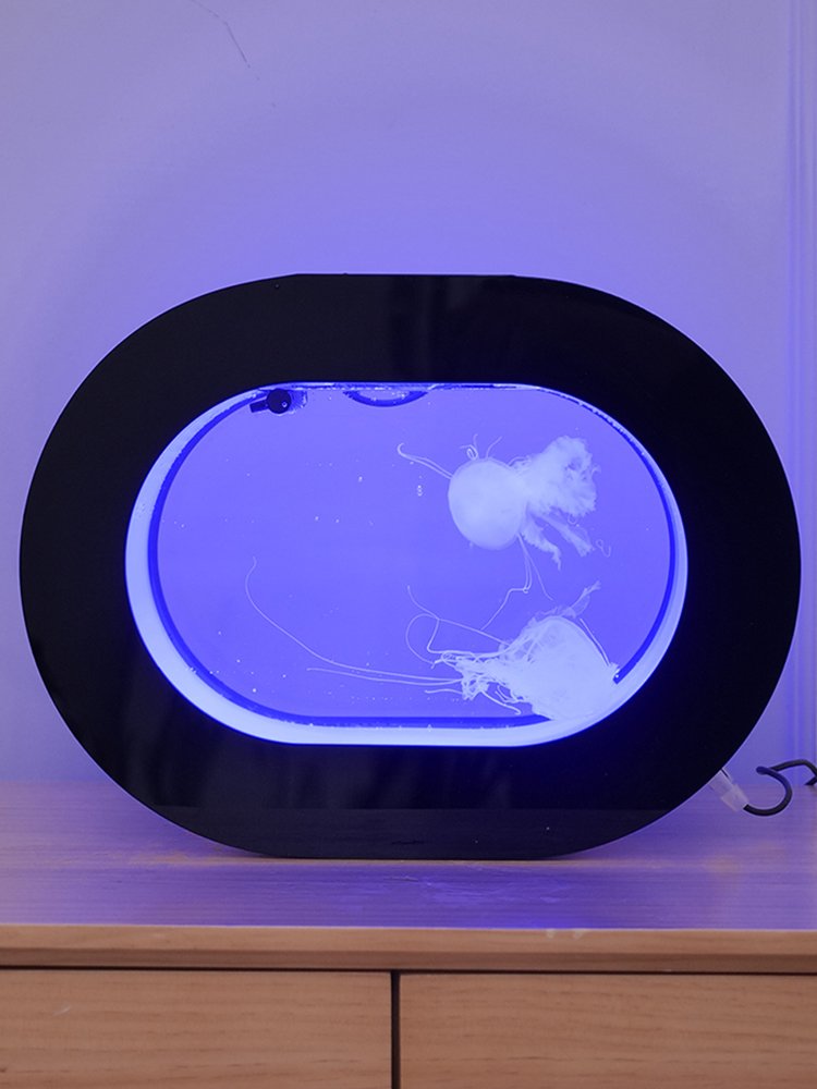 Spot goods offer top table viewing aquarium jellyfish ecological 8L black tank jellyfish tank multi-purpose acrylic tank