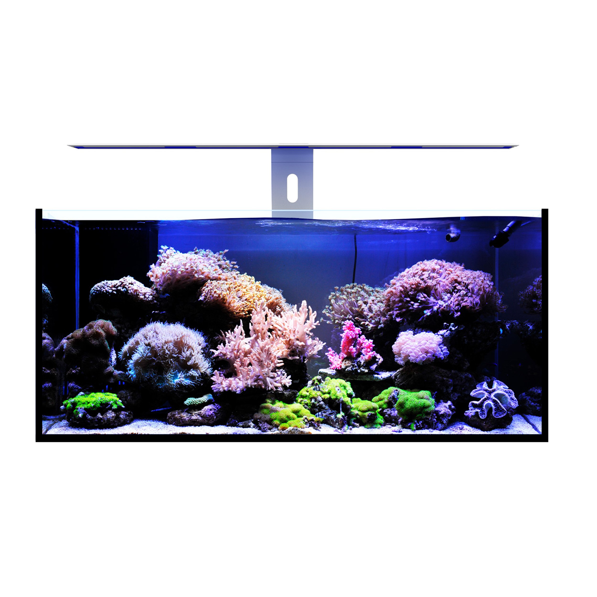 New arrival New design advanced full HD spectrum Air Pro extreme lighting reef-aquascaping for fish tank water plant