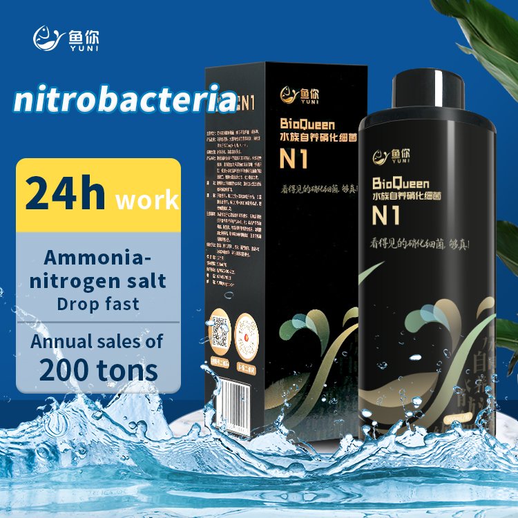 Bioqueen N1 Aquatic Autotrophic Nitrifying Bacteria Light Yellow Liquid 50ml Nitrifying Bacteria