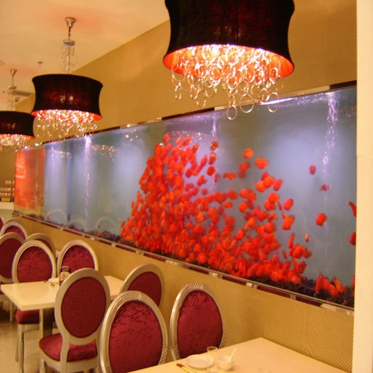 Casting Transparent PMMA Aquariums 300mm Thick Boards Acrylic Tube Sheet for Fish Tank