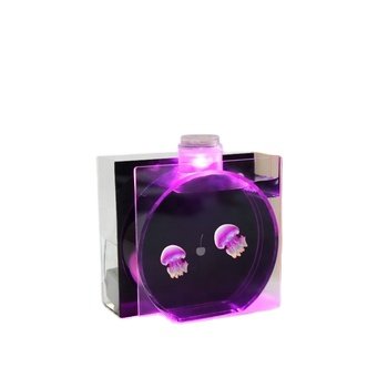 variety of adjustable night light water tank, so that your life is no longer monotonous,Home creative cylinder,Home Decoration