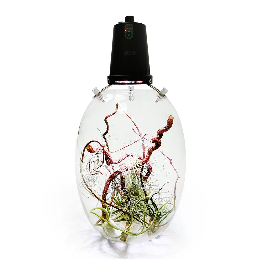 Indoor Garden Oval Planting Bottle - with Full Spectrum Grow Light Time Setting and Mist Grow for Moss/Ferns/Succulent/Aquarium