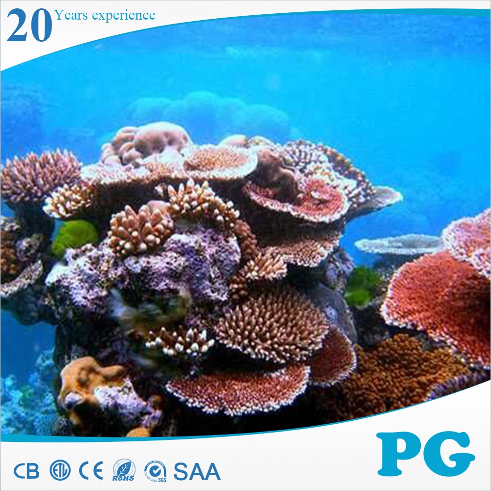 PG Eco Friendly Soft Oceanarium Stylish Insert No Color Change Custom Artificial Aquarium Fish Tank Ornaments Coral Reefs