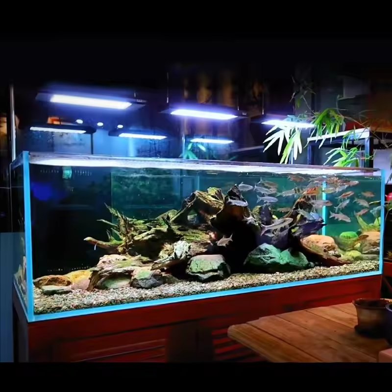 WEEK AQUA aquarium led light sunrise sunset coral led aquarium light Z series new