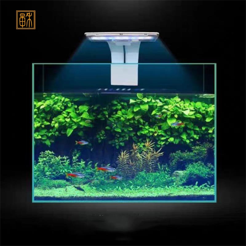 Zaohetian small fish tank lamp led aquarium clip light 6W 12W 15W led aquarium light white blue