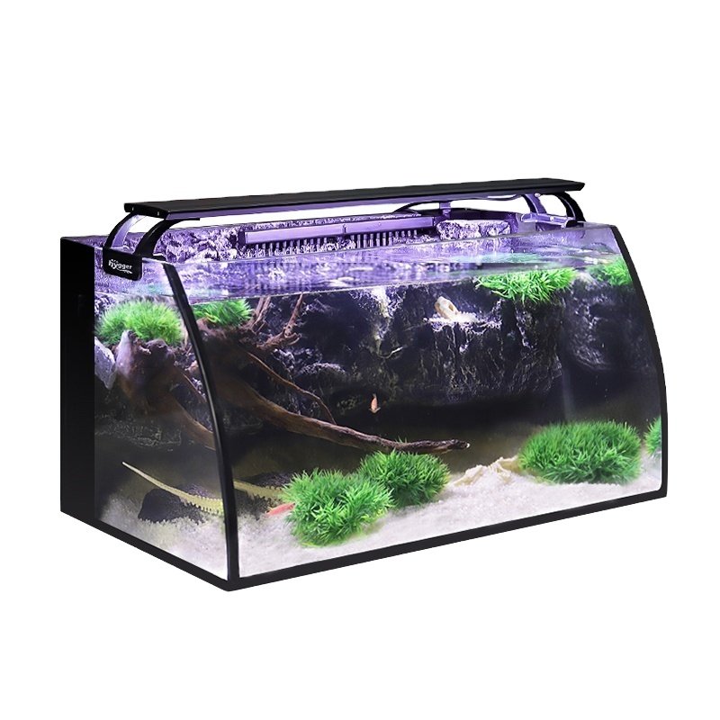 Hygger best selling fish tank with aquarium light and filter pump