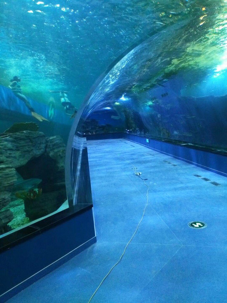 Underwater wall-to-wall one time cast transparent acrylic glass tunnel aquarium