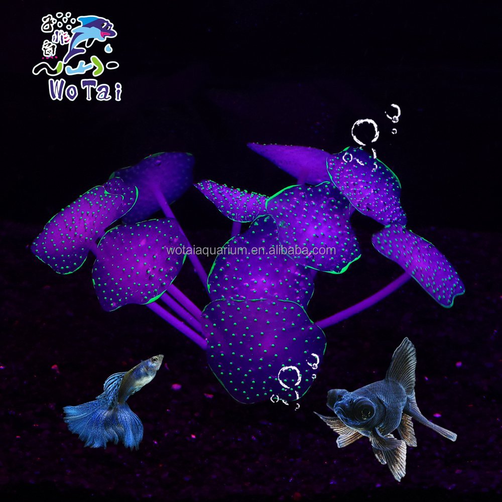 China factory custom various sizes aquarium cheap wholesale aquarium fish tank decoration