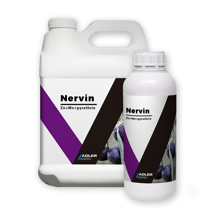 Concentrated Organic Grow Fertilizer for Onions Water Soluble Boron Foliar Fertilizer Promoting Plant Growth