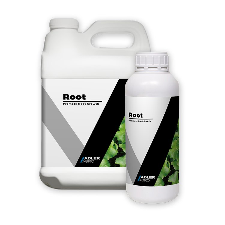 Concentrated Organic Grow Fertilizer for Onions Water Soluble Boron Foliar Fertilizer Promoting Plant Growth