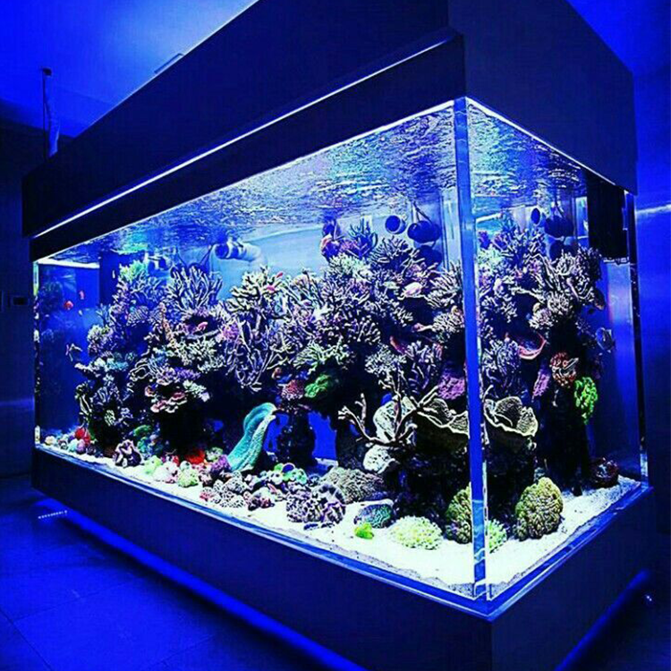 300 gallon aquarium for sale large cylinder aquarium fish tank use
