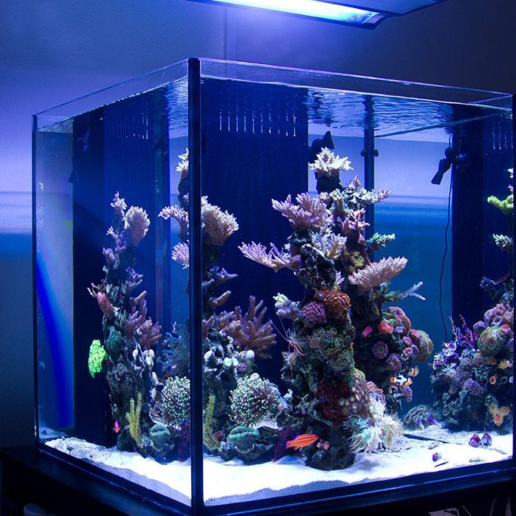 300 gallon aquarium for sale large cylinder aquarium fish tank use