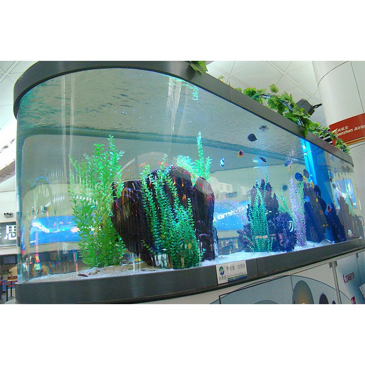 300 gallon aquarium for sale large cylinder aquarium fish tank use