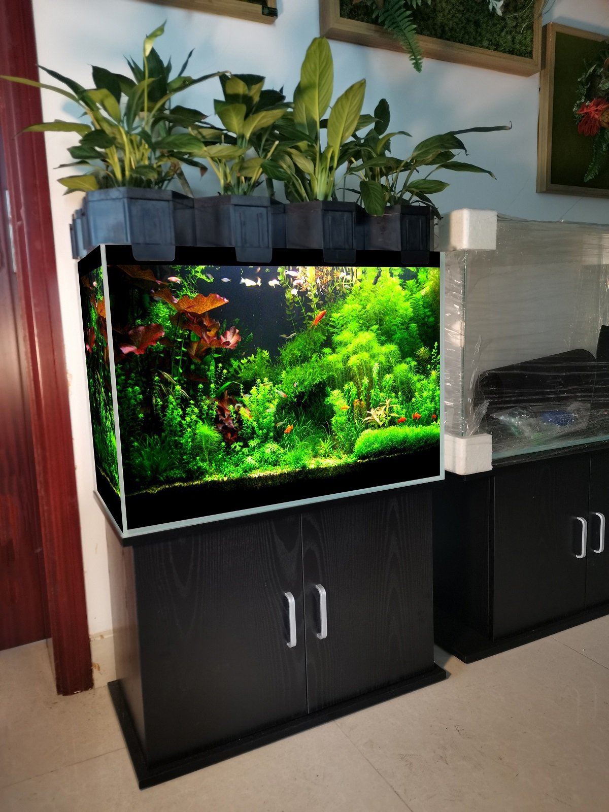 New Aquaponic Fish Tank Aquarium for Home Decoration