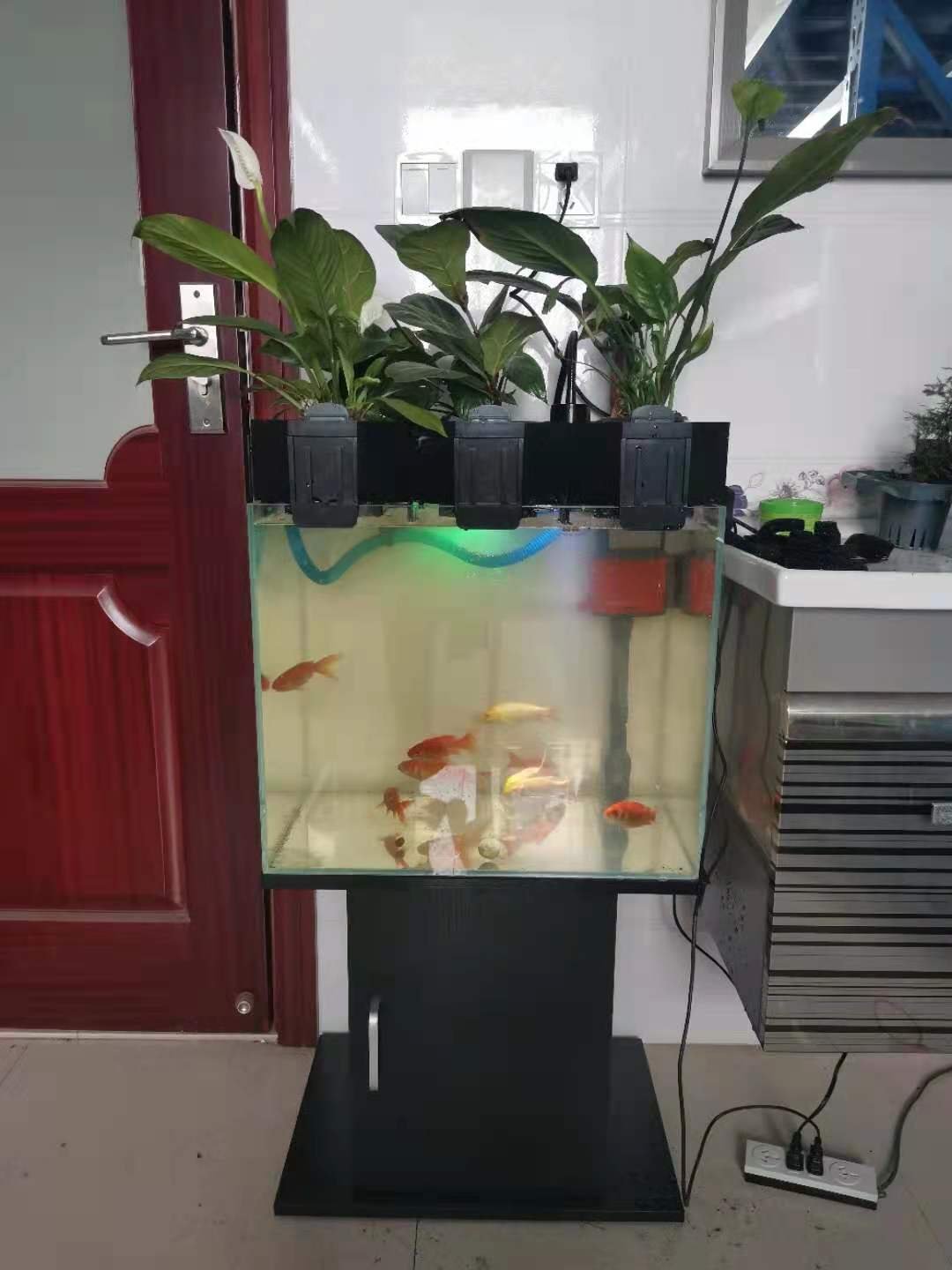 New Aquaponic Fish Tank Aquarium for Home Decoration