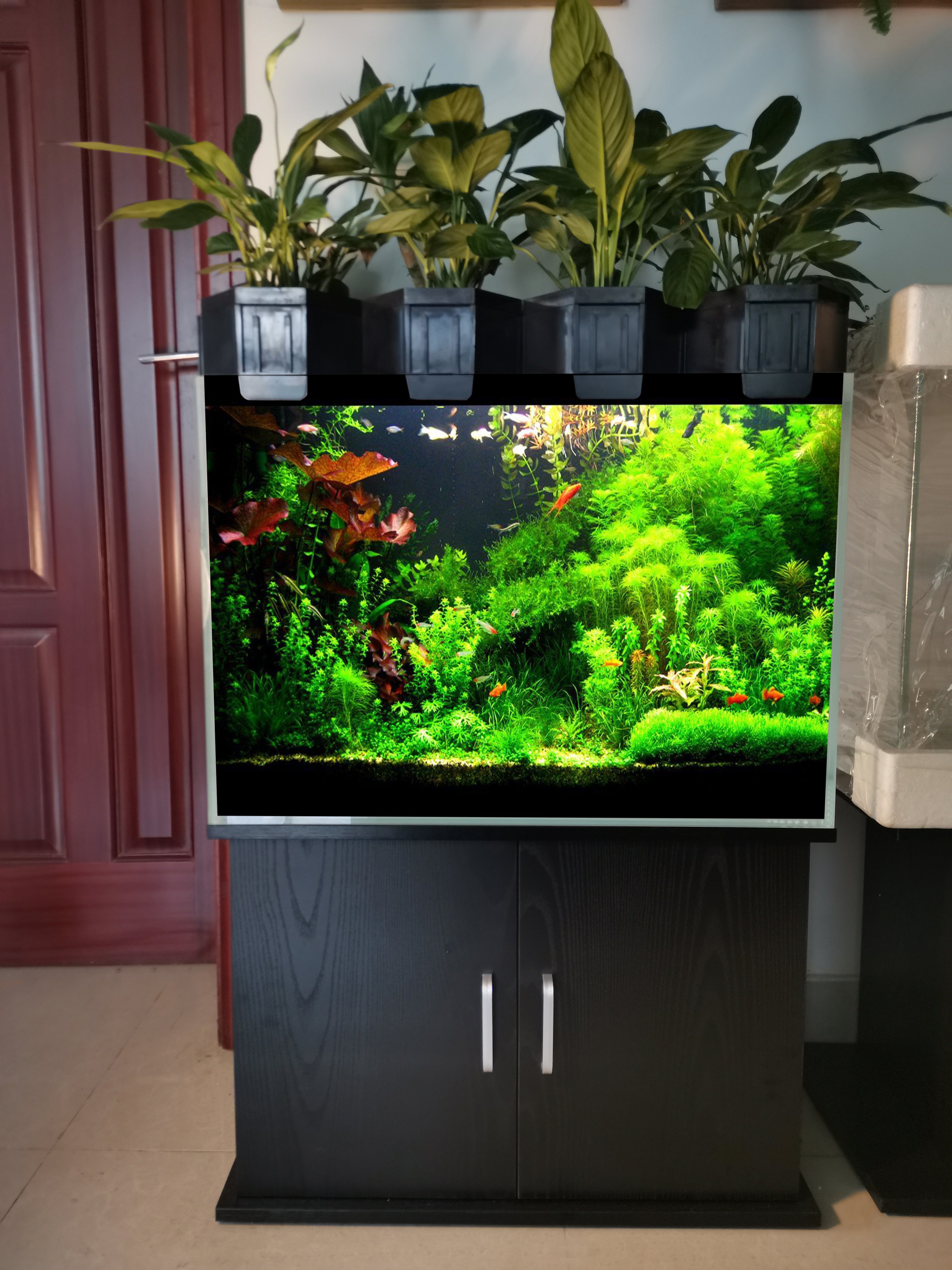 New Aquaponic Fish Tank Aquarium for Home Decoration