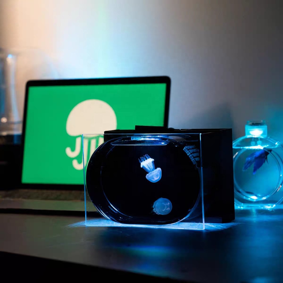 Discount OEM custom desktop acrylic aquarium 2.8L jellyfish tank Betta Fish tank USB power supply small fish tank
