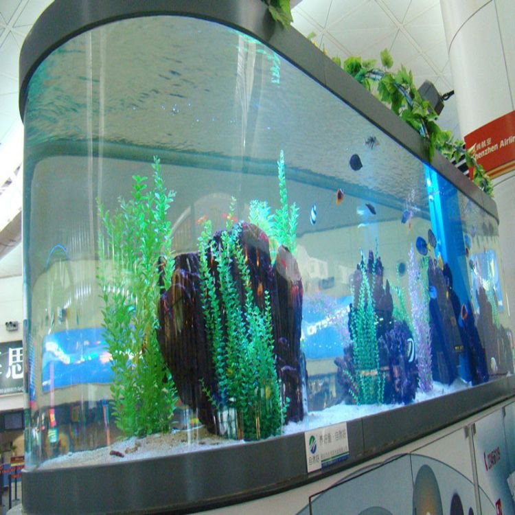 Lucite PMMA High Purity Aquarium Live Fish Aquarium Large Fish Tank Plastic Fish Farm Tank