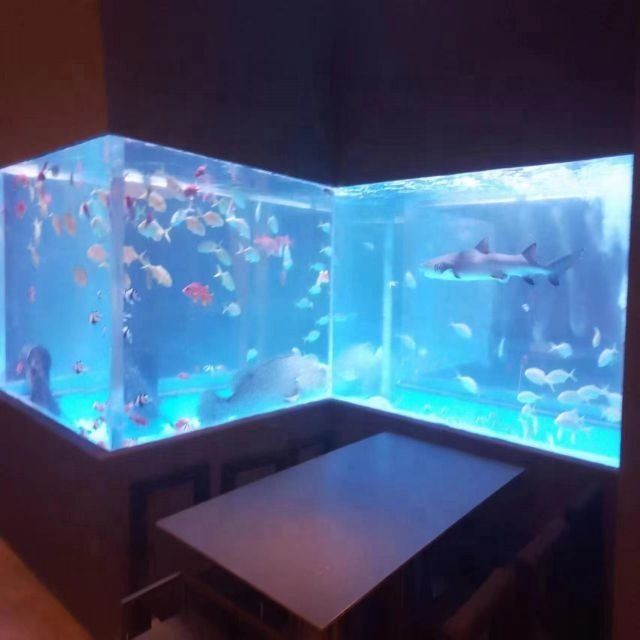 Lucite PMMA High Purity Aquarium Live Fish Aquarium Large Fish Tank Plastic Fish Farm Tank