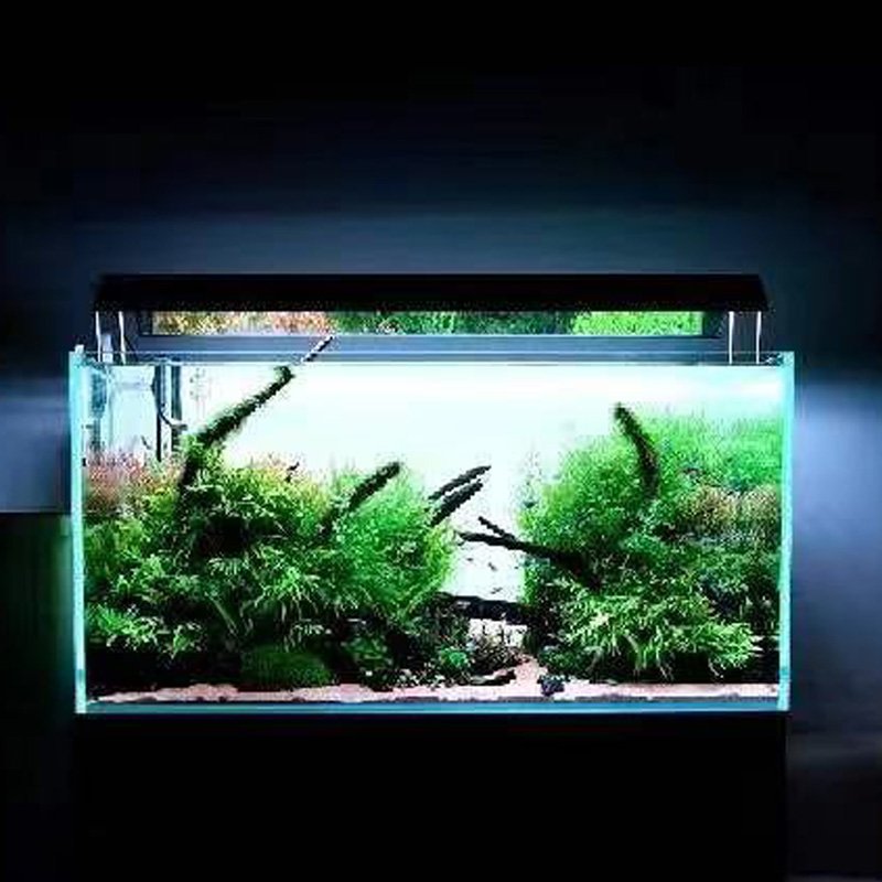 customized size LED Aquarium Lamp Plants Growth Aquarium Lighting For Fish Tank