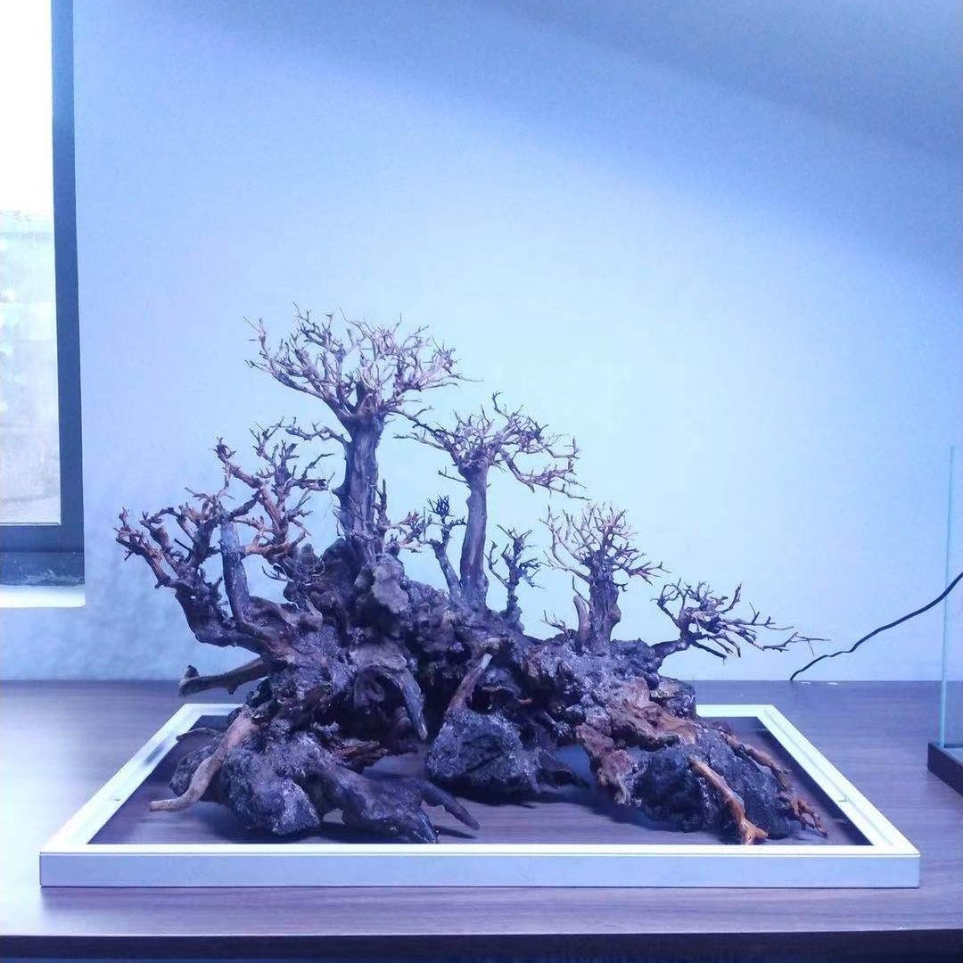Aquascaping Rocks Natural Stone Bonsai Drift Wood for Fish Tank Aquarium Decoration Paludarium