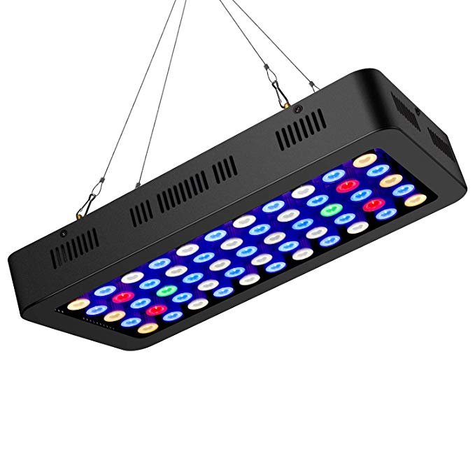 14000K white blue green uv full spectrum 45 inch 55x3w 165w coral reef used led aquarium light