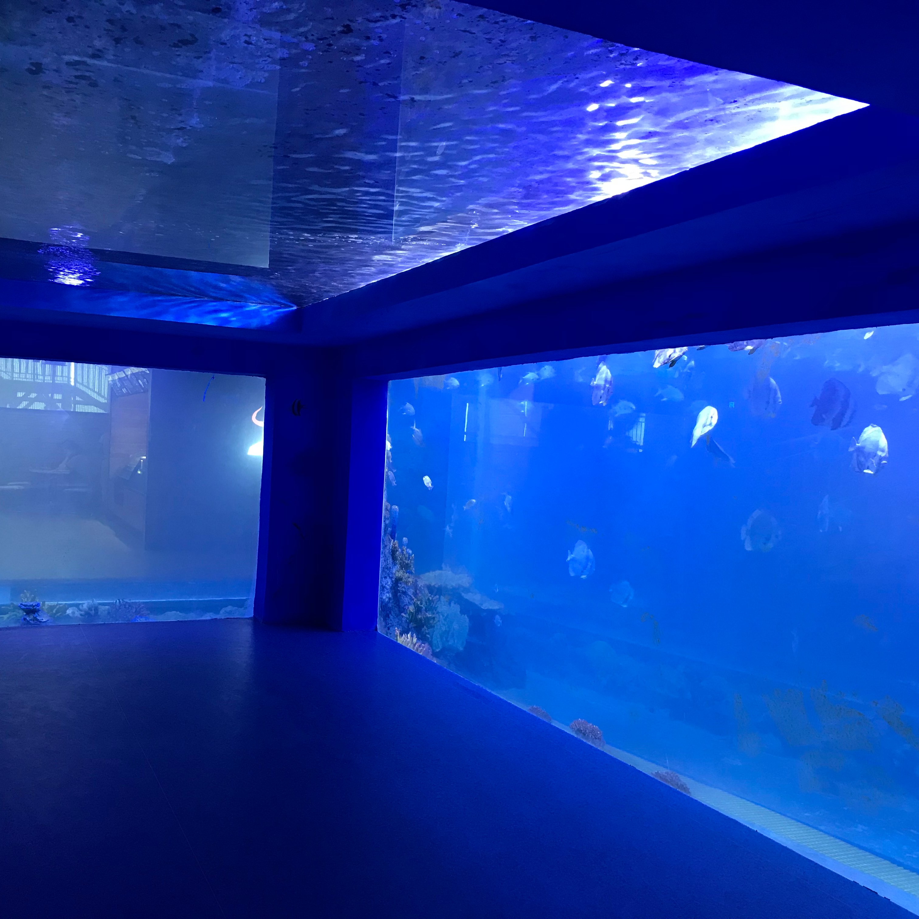 2023 Best price custom cheap cylindrical plastic acrylic sheet for fish tank wholesale