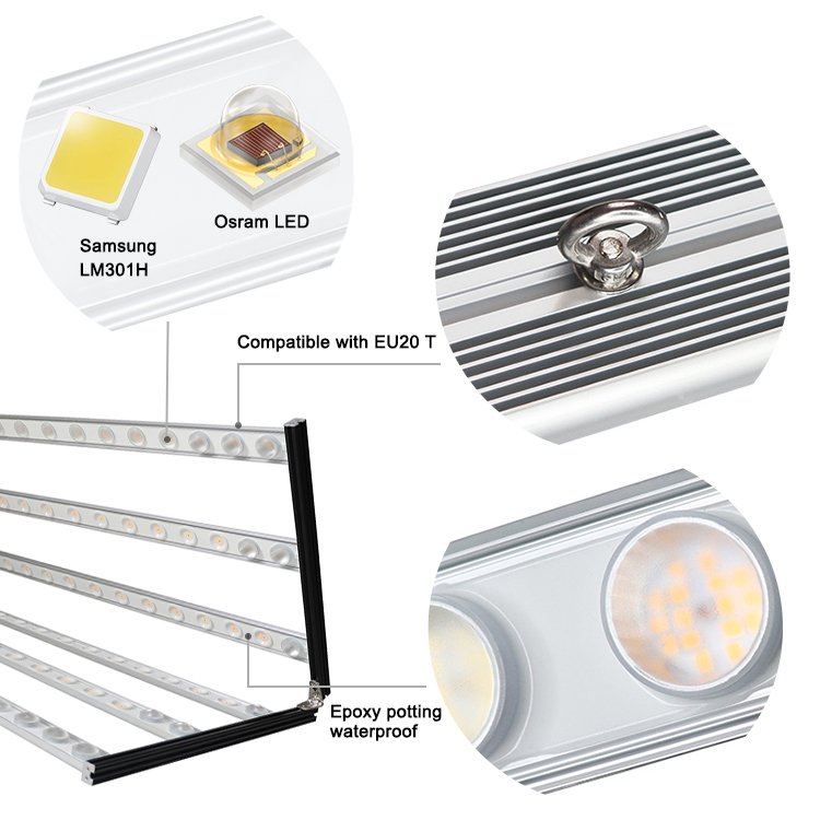 Koray Plant Factory Grow Lights LED Samsung 301 EVO Horticultural LED Adjustable Spectrum Tomato Grow Light OEM