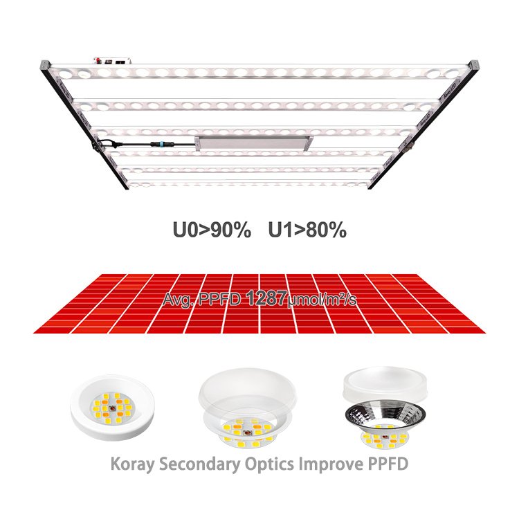 Koray Plant Factory Grow Lights LED Samsung 301 EVO Horticultural LED Adjustable Spectrum Tomato Grow Light OEM