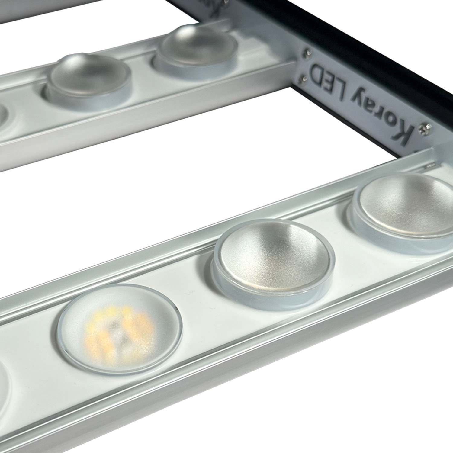 Koray Plant Factory Grow Lights LED Samsung 301 EVO Horticultural LED Adjustable Spectrum Tomato Grow Light OEM