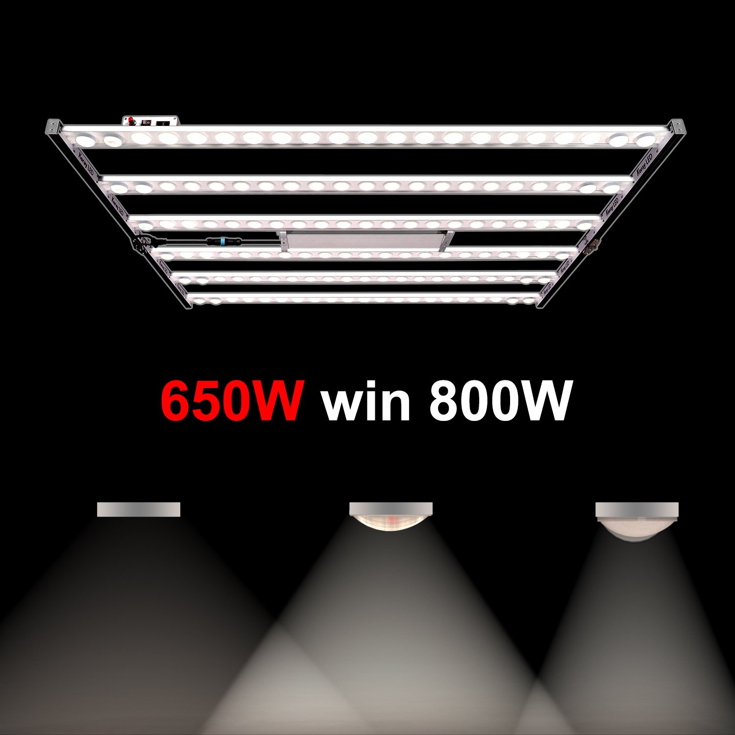 Koray Plant Factory Grow Lights LED Samsung 301 EVO Horticultural LED Adjustable Spectrum Tomato Grow Light OEM