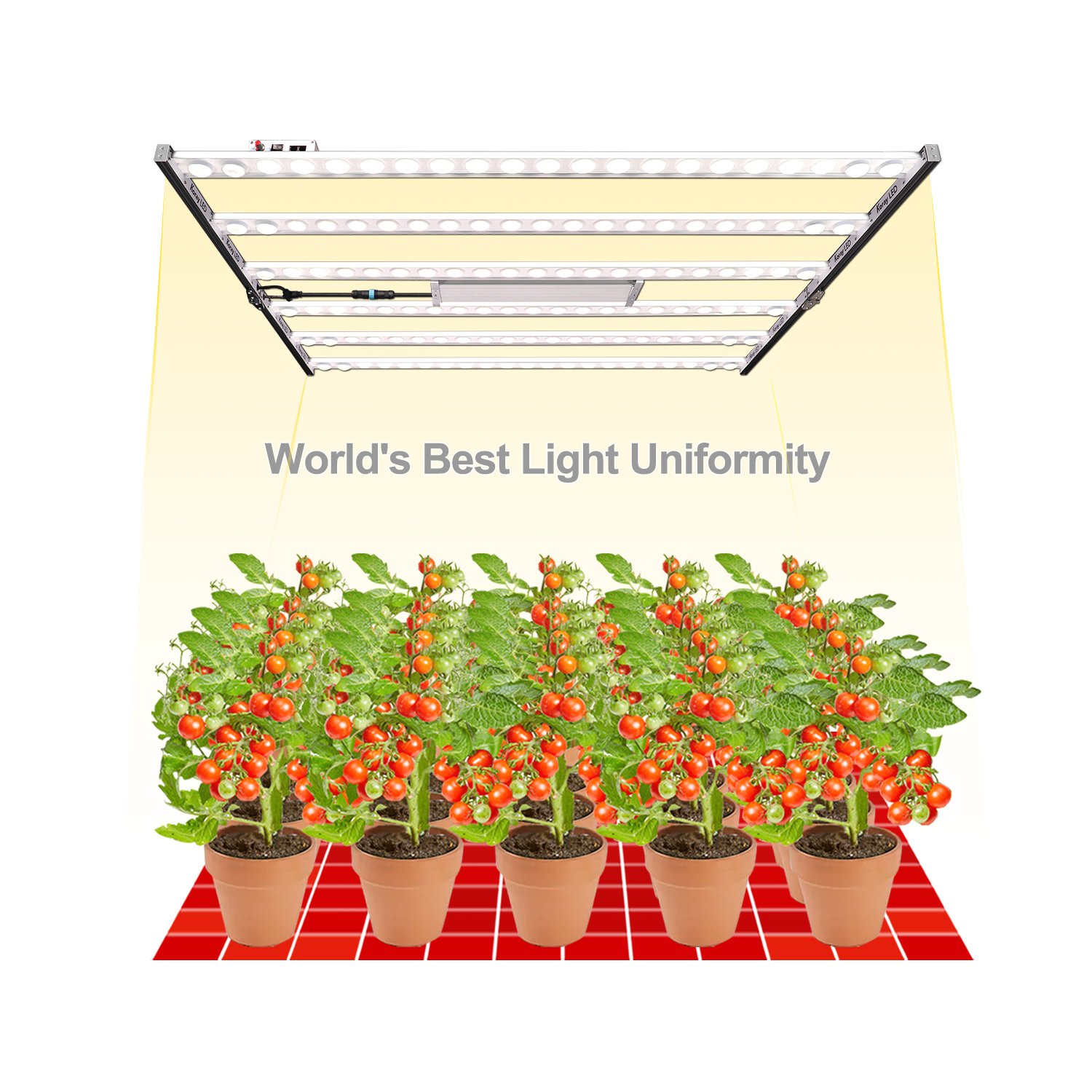 Koray Plant Factory Grow Lights LED Samsung 301 EVO Horticultural LED Adjustable Spectrum Tomato Grow Light OEM