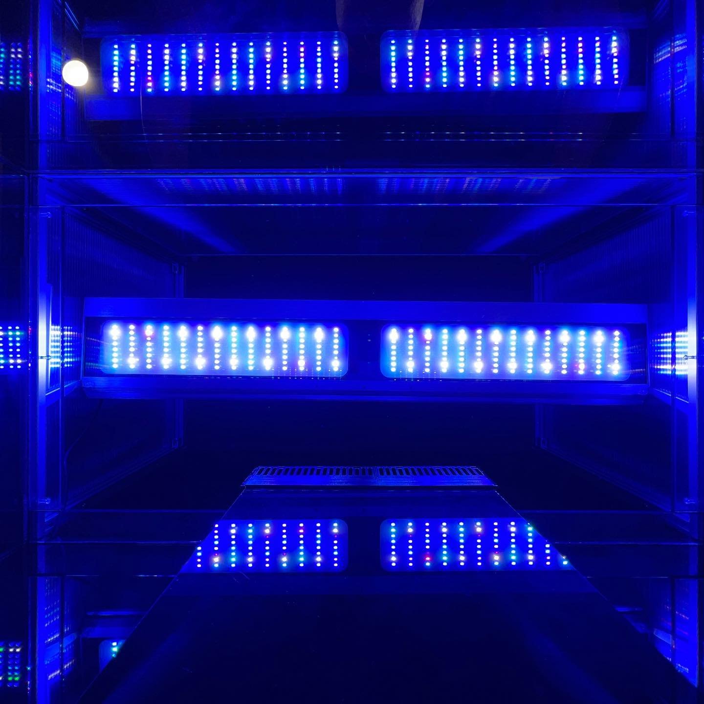 2024 Air Pro 900 100W Marine APP control Adjustable height Customized Color Aquarium Lamp for big Size Fish LED Aquarium Light
