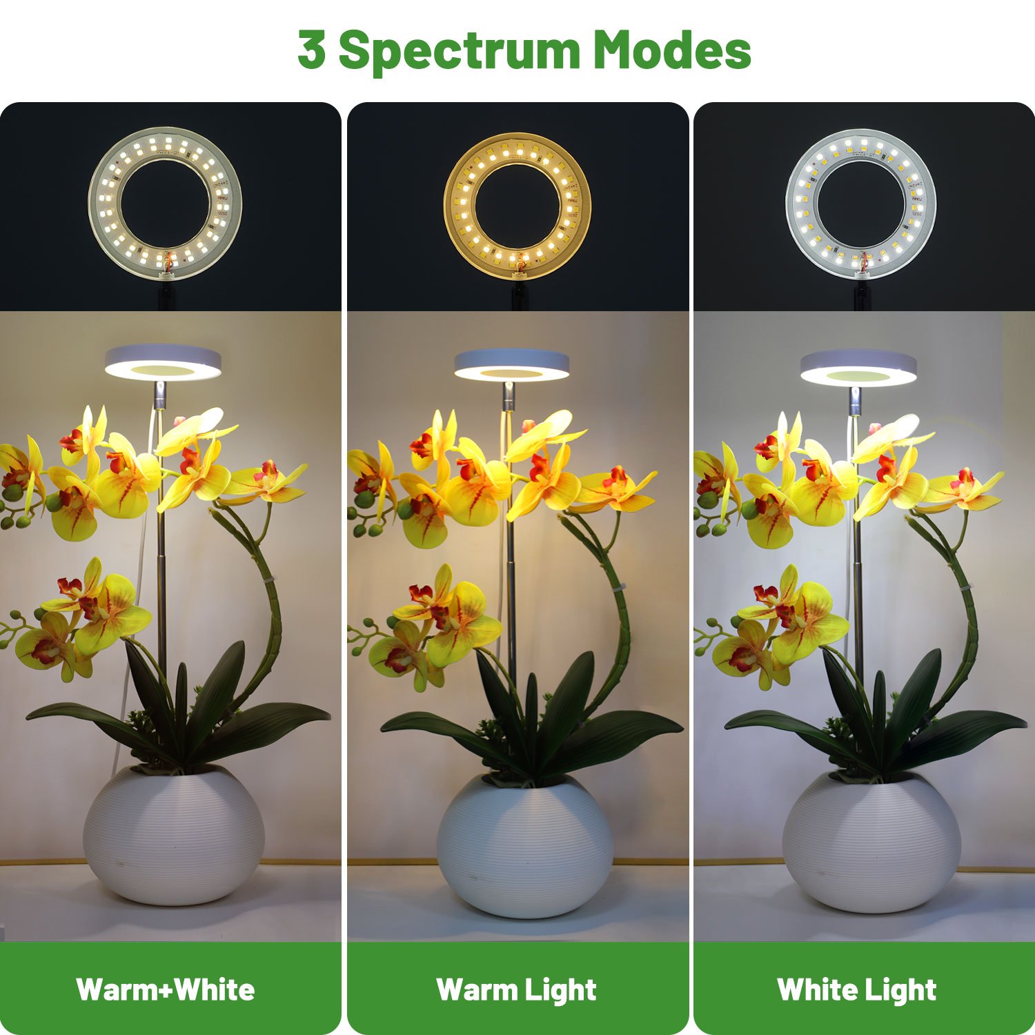 Height Adjustable Tabletop Halo Ring USB Clip Grow Light With Timer For Indoor Plants