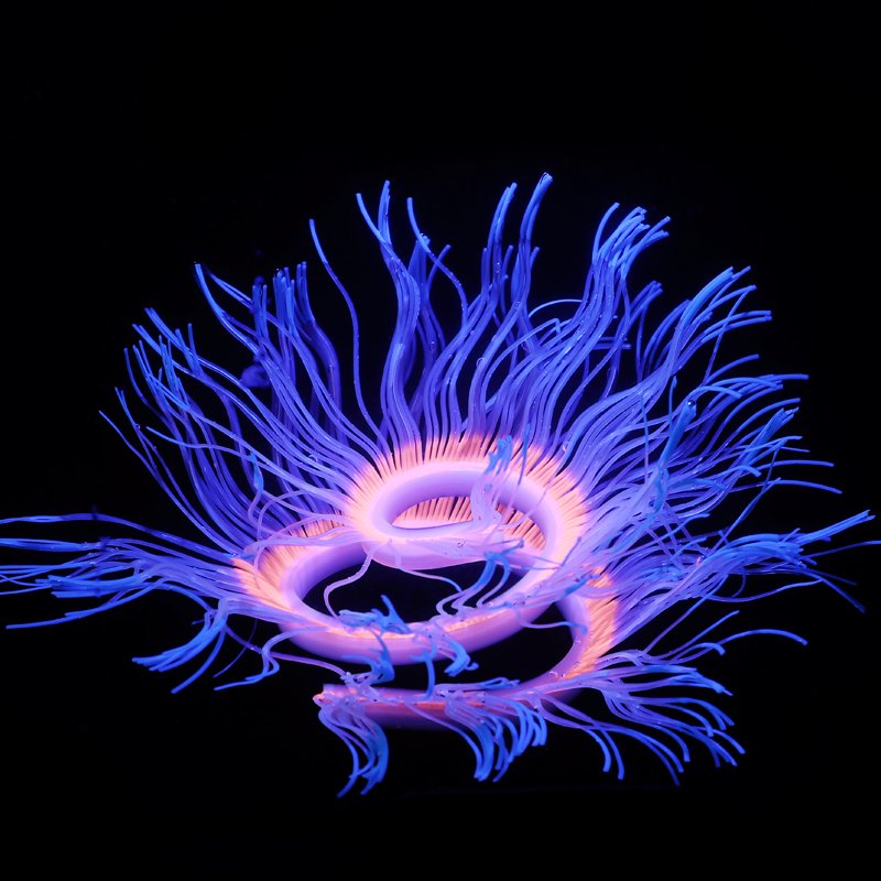 wholesales Silicone Simulation Coral anemone Shaped Imitation Plants Fish Tank Accessories
