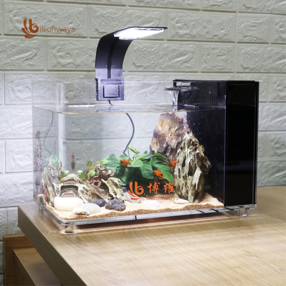 China Manufacturer Aquarium Double Room Acrylic Fish Tank With Water Pump and Oxygen