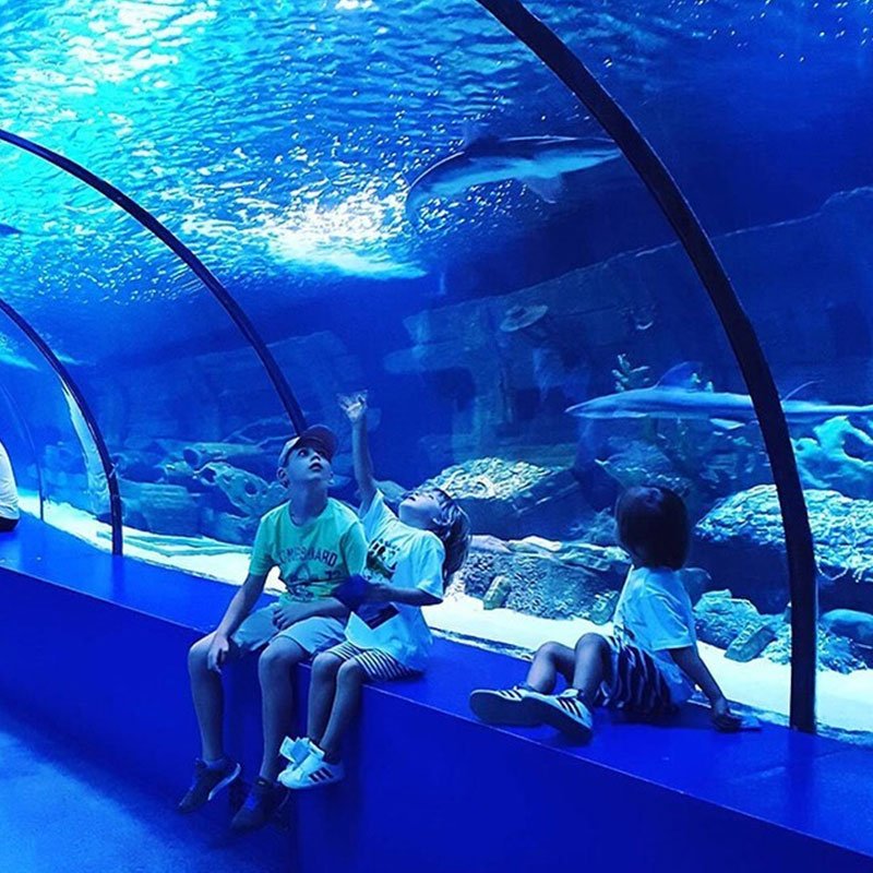 Factory Custom Sleek Acrylic Fish Tanks for Stunning Underwater Displays