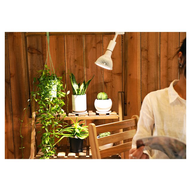 Best Sales Nicest Quality NEO TSUKUYOMI Plant Cultivation Full Spectrum 20W Led Lights Grow