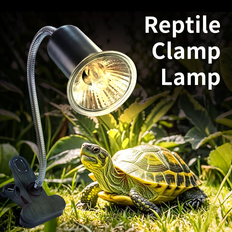 360 Degree Rotatable Reptile Ceramic Heating Light Aquarium Lengthened Lamp Holder With Adjustable Switch
