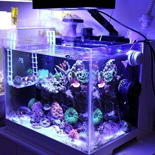 Aquarium LED Light 3rd Generation A029 30 Watts Saltwater Light with Touch Control, 5W for Coral Reef Nano Fish Marine Tanks